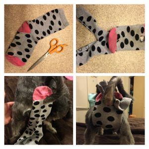 how to make a dog diaper out of a sock|how to make dog diapers from socks.